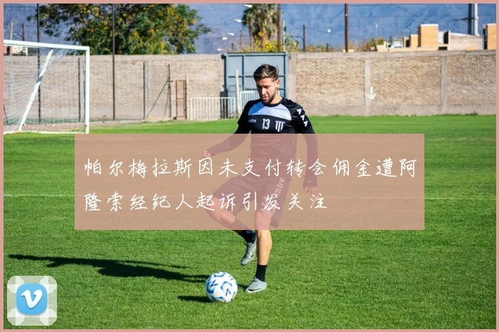帕尔梅拉斯因未支付转会佣金遭阿隆索经纪人起诉引发关注
